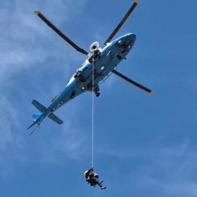 Hiker fighting for his life after bee attack